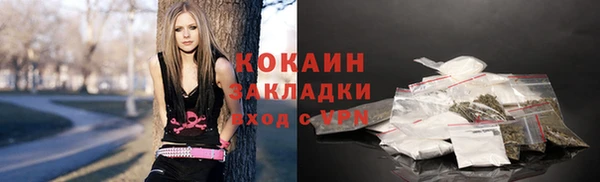 шишки Богородск