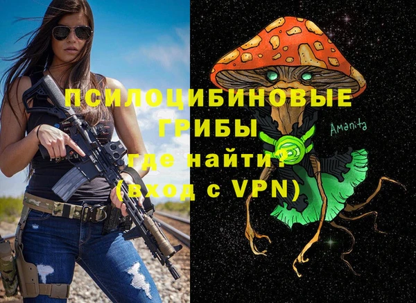 дурь Богородицк