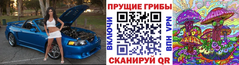 Псилоцибиновые грибы Psilocybine cubensis Корсаков
